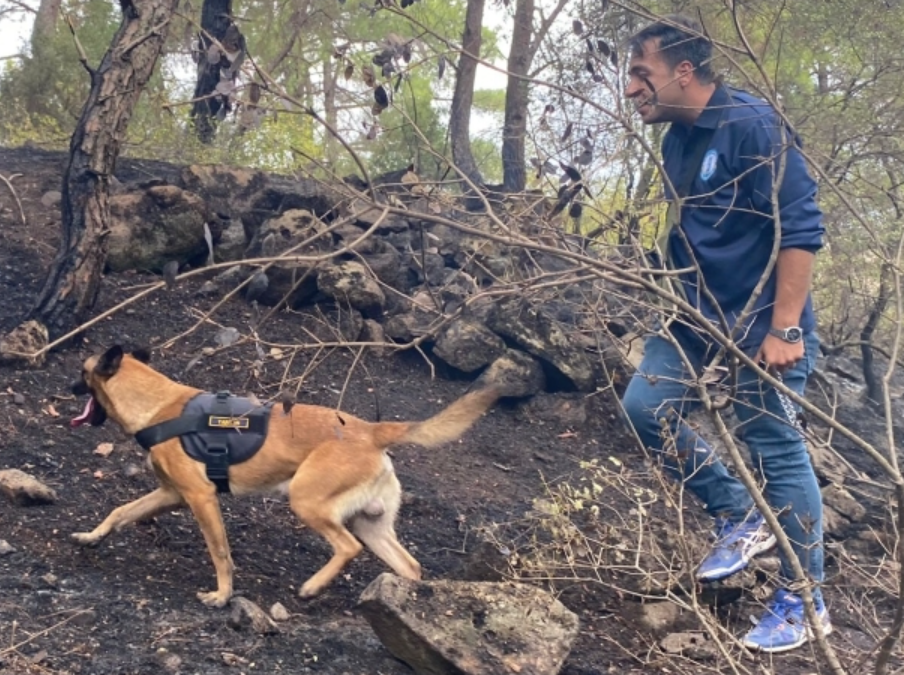 Tarzan Orman Yangınlarında Aktif Rol Oynayacak